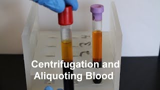 Centrifugation and Aliquoting of Blood Serum and Plasma [upl. by Deckert634]