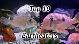 Top 10 Eartheater Species  Geophagus Gymnogeophagus Satanoperca [upl. by Annice]