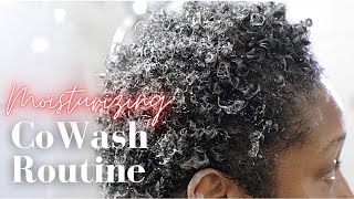 Moisturizing Co Wash Routine  Natural Hair [upl. by Norrahc132]