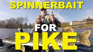 Spinnerbait Setup Specifically for Pike Fishing [upl. by Gilba]