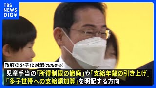 【支給年齢の引き上げ】政府、“児童手当の所得制限撤廃”“出産費用の保険適用”を明記へ 今月末取りまとめの「たたき台」に｜TBS NEWS DIG [upl. by Melamie]