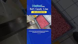 Soft Candy Linemachinemanufacturer candymachine [upl. by Athalla817]