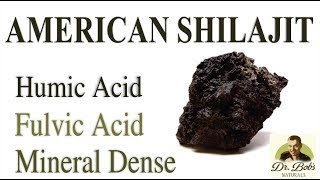 American Shilajit Understanding Humic and Fulvic Acids [upl. by Eilujna]