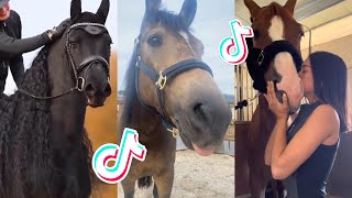 The Best HORSE TikTok Compilation 108 [upl. by Basile]