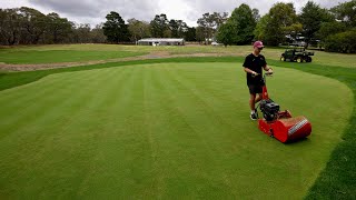 Why You Should Groom Your Lawn  Thatch and Mat [upl. by Felicia]