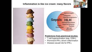 Hemophagocytic lymphohistiocytosis HLH immune regulation and translation human immunology Michael B [upl. by Naek]