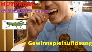 INSEKTEN ESSEN MUTPROBE  GEWINNSPIEL Auflösung [upl. by Llennyl]