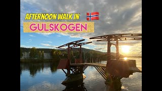 Lets go for an Afternoon Walk in GULSKOGEN  Walking4Fitness  PinayOdyssey  Ep 4 [upl. by Guild131]