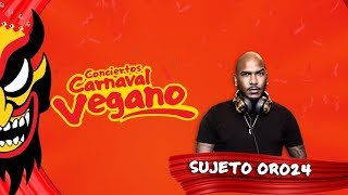 Conciertos Carnaval Vegano 2019  El Sujeto [upl. by Petulah]