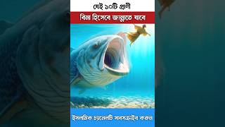 যে ১০ টি প্রানী বিনা হিসেবে জান্নাতে যাবে facts tiktok cartoon shortsfeed shorts gojol funny [upl. by Alroi986]