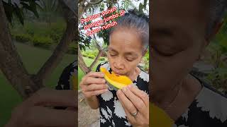 PERDANA Panen mangga JUMBO di depan rumah  PERTAMA X petik mangga SEBESAR INI 😱 [upl. by Ybrik]