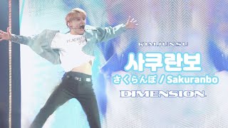 4K 청자켓 사쿠란보 💙 김준수  さくらんぼ Sakuranbo ✨ 220319 디멘션 중콘 🟦 KIMJUNSU 김준수 2022 CONCERT DIMENSION [upl. by Volkan142]