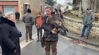 VIDÉO Brux  chasse à l’aigle royal [upl. by Ellis]