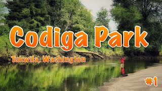 Codiga Park Tukwila Washington ✦ Walking Tour 1 4K ✦ July 17 2024 [upl. by Llerrehc]