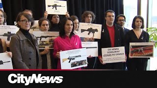 Montreal Mayor Polytechnique survivors call for stricter gun control [upl. by Mellisa]