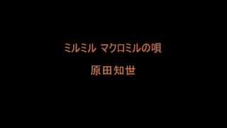 ミルミル マクロミルの唄／原田知世 [upl. by Nairrod287]