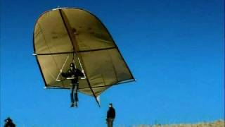 Leonardo da Vinci Glider  reality test Rate My Science [upl. by Nnylyram]