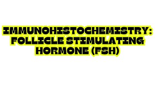 IMMUNOHISTOCHEMISTRY FOLLICLE STIMULATING HORMONE FSH [upl. by Anikahs]