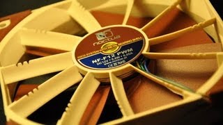 Noctua NFF12 PWM 120mm Focused Flow Fan Review Hal Thompson [upl. by Llewen]