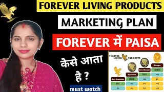 FOREVER MARKETING PLAN  FOREVER ME PAISA KESE AATA HAI   FLP BUSINESS IN HINDI [upl. by Curr]