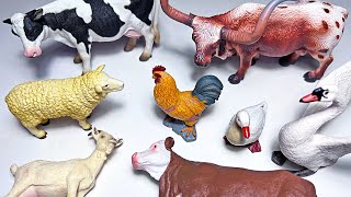 NEW Farm Animals  Cow Sheep Chicken Goat Hen Bull Pig Duck Rabbit Dog Cat Rooster [upl. by Ratcliff353]