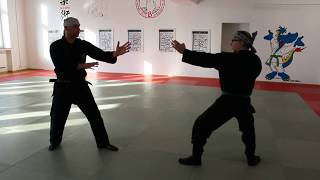 Ninjutsu Ju Jutsu Omote Gyaku Kipphandhebel [upl. by Aisatal408]