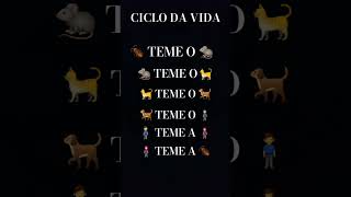 CICLO DA VIDA [upl. by Gefen]