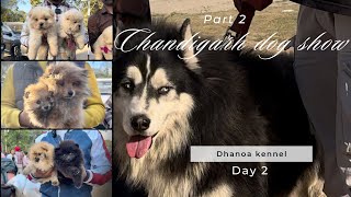 Chandigarh Dog Show Day 2 Part 2 2024😍 ਚੰਡੀਗੜ੍ਹ ਡੌਗ ਸ਼ੋਅ ਡੇ 2 ਭਾਗ चंडीगढ़ डॉग शो दिन 2 भाग [upl. by Thorpe]