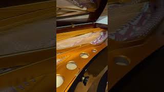 Bosendorfer 280VC Concert Grand Piano [upl. by Linson]