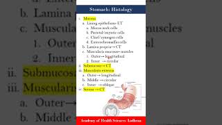 Stomach histology [upl. by Nomal]