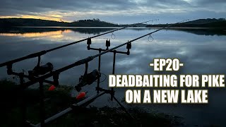 Ep20  Pike Fishing With Deadbaits On A New Lake Subscriber Suggestion [upl. by Dez501]