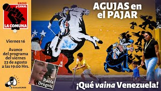 ¡Qué vaina Venezuela con Paola Dragnic [upl. by Asseneg]