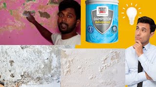 Damp Proof  Damp Stop  Damp Solution  Damp Block [upl. by Nilre467]