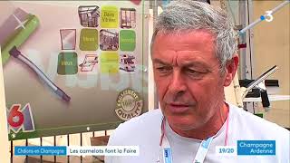 La foire de Chalons ou lempire des camelots [upl. by Shaner]