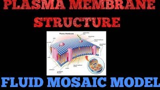 Structural details of plasma membrane Fluid mosaic model  for NEET and AIIMS [upl. by Senn]