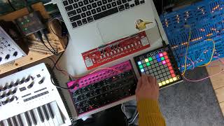 Braindance Electro Jam  Korg Minilogue  Behringer K2  2600 Blue Marvin  Edge [upl. by Suoiradal]