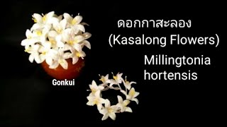 Crochet flowers  Millingtonia hortensis flower crochet crochetflower tutorial crochet [upl. by Monti]