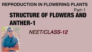 STRUCTURE OF FLOWER amp ANTHER1  REPRODUCTION IN FLOWERING PLANTS1  NEET  CLASS12  Dr R C panda [upl. by Barra301]