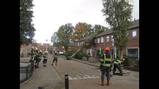 Brandweer Hagestein Stormschade boom op huis Reinoud III straat Vianen [upl. by Bogosian]