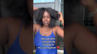 Hair Care Routines Results naturalhairbraids protectivestyles [upl. by Rollie711]