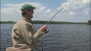 Al Lindner knows Drop Shot Bass Fishing [upl. by Jocelyne]