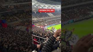 Atmosfera superba in Peluza FCSB ☠️ FCSB Midtjylland shorts youtubeshorts reels europaleague [upl. by Tamra]