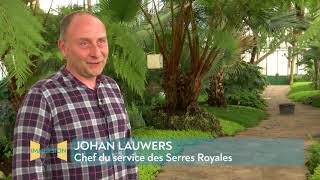 En Immersion  des Serres aux jardins dans les coulisses du Domaine Royal de Laeken [upl. by Zebaj]