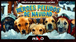 HÉROES PELUDOS DE NAVIDAD  FAMILIA  PELICULA EN ESPANOL [upl. by Anyehs]