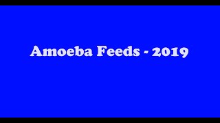 Amoeba feeds 2019 Version [upl. by Starla]