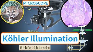 Köhler Illumination  How to build collimate and use the Köhler Illuminator for the PUMA microscope [upl. by Idnem661]