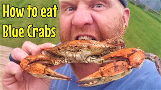 How to PROPERLY Pick amp Eat Maryland Blue Crabs [upl. by Andryc]