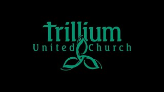 Trillium HampW Project [upl. by Nydnarb98]