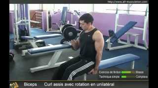 Vidéo des flexions de bras assis avec rotation en unilatéral [upl. by Bobker863]