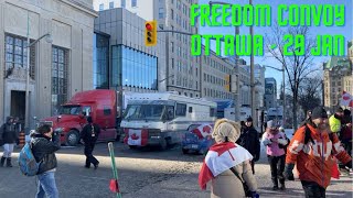 🔴 LIVE Freedom Convoy 2022 Ottawa  09Feb2022 [upl. by Verna]